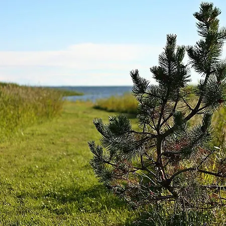 Jaaguranna Lillelaager 酒店 *