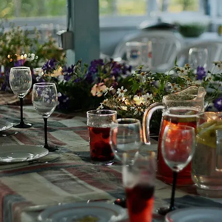 Jaaguranna Lillelaager * Tostamaa