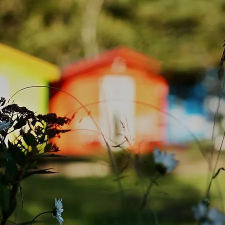 Jaaguranna Lillelaager