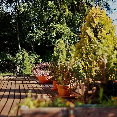 Jaaguranna Lillelaager