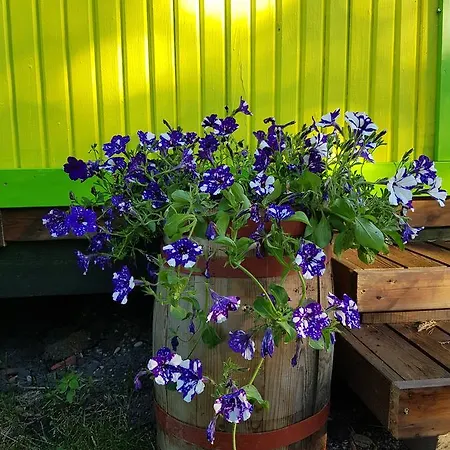 酒店 Jaaguranna Lillelaager