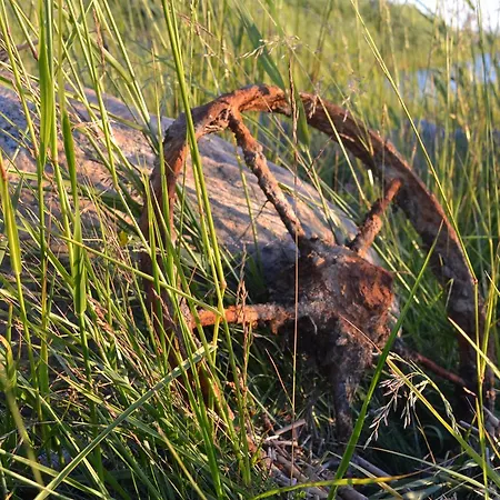 Jaaguranna Lillelaager 酒店 *