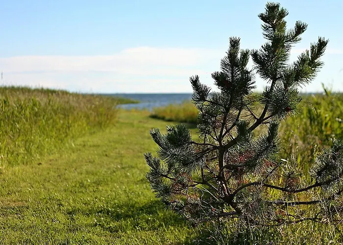 Jaaguranna Lillelaager Hotel *