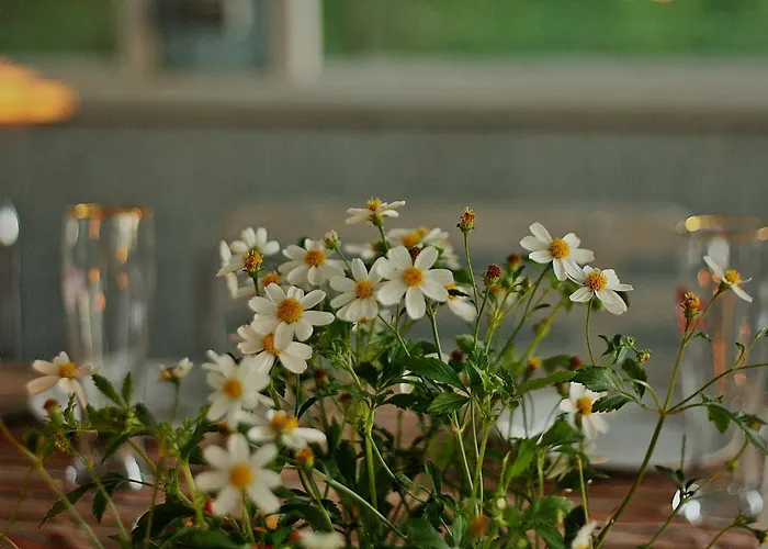 Hotel Jaaguranna Lillelaager