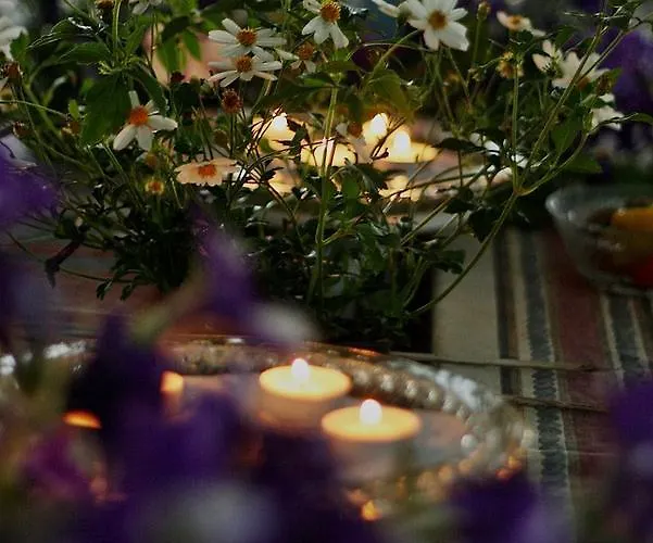 Jaaguranna Lillelaager Hotel Tostamaa