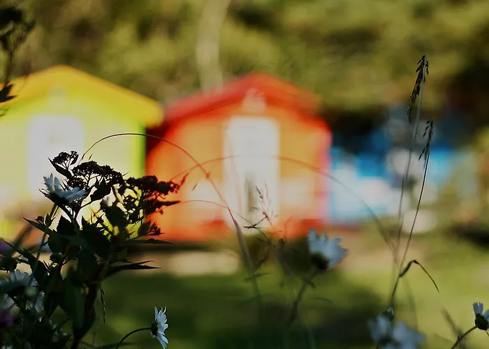 Jaaguranna Lillelaager