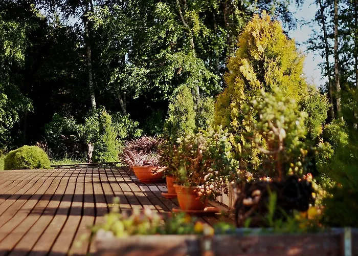 Jaaguranna Lillelaager