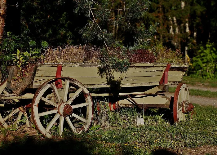 Jaaguranna Lillelaager * Tostamaa