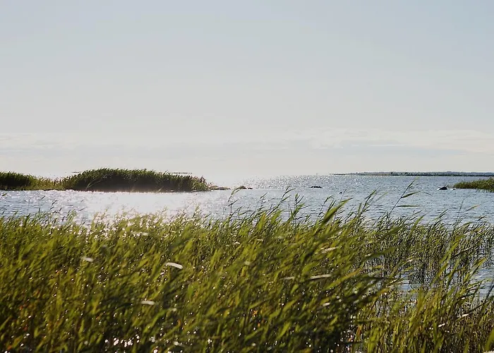 Jaaguranna Lillelaager Tostamaa