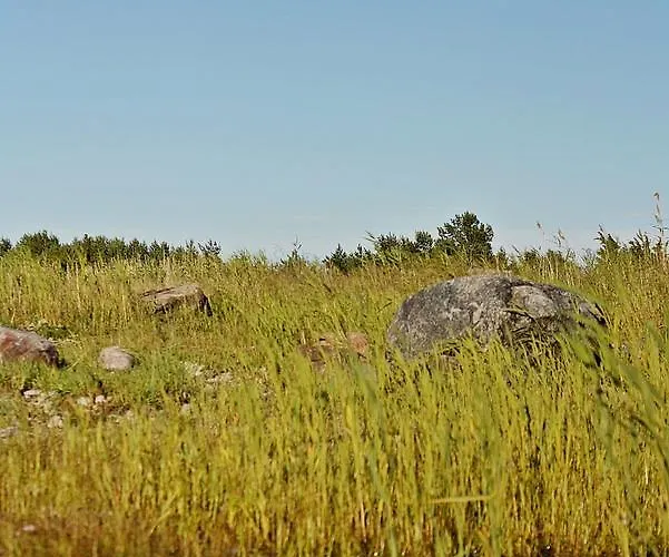 Hotel Jaaguranna Lillelaager *