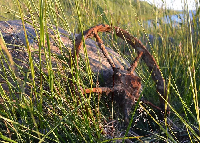 Jaaguranna Lillelaager Hotel *